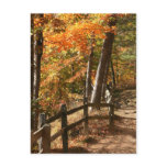Autumn pathway postcards