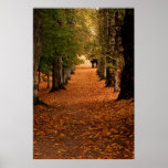 Autumn Pathways Poster