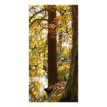 Autumn Perspective Customized Photo Card