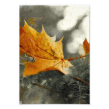Autumn Photo