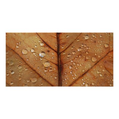 Autumn Photo Card by PhotosVac