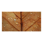 Autumn Photo Card photo cards