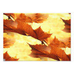 Autumn Photographic Print