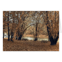 Autumn Picnic Cards