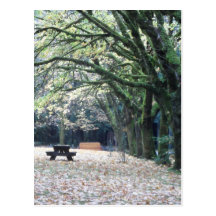 Autumn Picnic Postcard