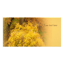 Autumn Pleasures Cherry Tree Customized Photo Card