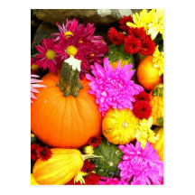 Autumn Post Cards