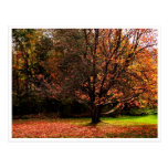 Autumn Postacard 1 Post Cards