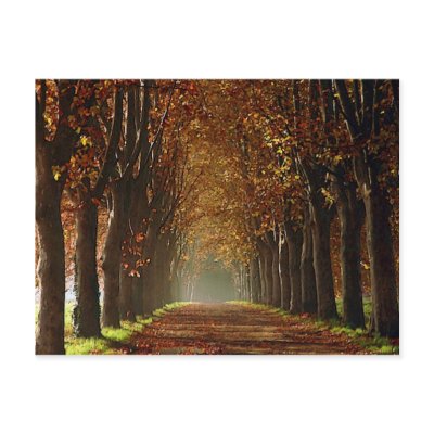 autumn postcard by REDINARD