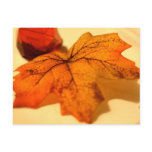 Autumn Post Cards