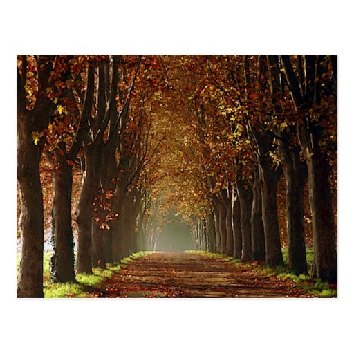autumn postcard