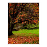 Autumn Postcard 4