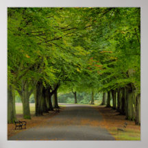 Autumn Promenade Posters