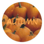 Autumn, pumpkins sticker