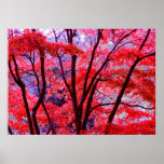Autumn red poster