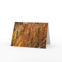 Autumn Reeds Number 6 Cards