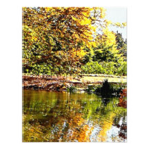 Autumn Reflections Custom Invitation