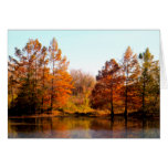 Autumn Reflections Photography