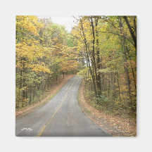 Autumn Road Magnet