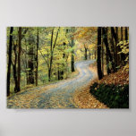 Autumn Road, Nashville, TN Print