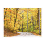 Autumn road postcards