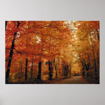 Autumn Road Print
