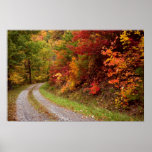 Autumn  Road  Print