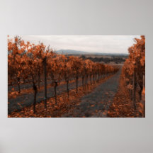 Autumn Rows Print