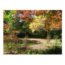 Autumn Scene Postcard