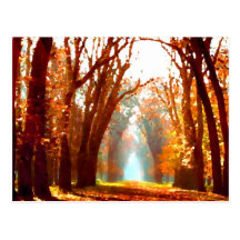 Autumn Scene Postcard