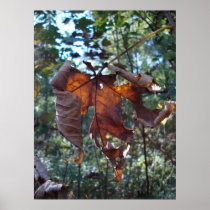 autumn see-through poster