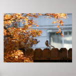 "Autumn Song Bird" posters