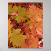 Autumn Splendour (2) Poster