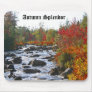 Autumn Splendour / Thanksgiving