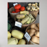 Autumn Squash, Paley's Print