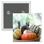 Autumn Squirrel Pinback Buttons