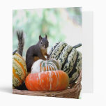 Autumn Squirrel Vinyl Binders