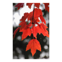 Autumn Stationery