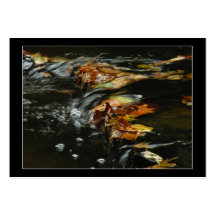 Autumn Stream Cascade Photo ATC Card Business Card Templates