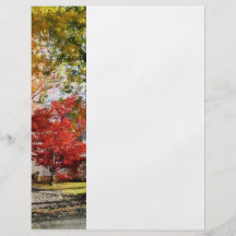 Autumn Street With Red Tree Full Color Flyer