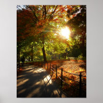 Autumn Sun in Central Park, NYC,  Small