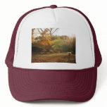 Autumn Sun Rays, Central Park, New York City Mesh Hats