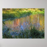 Autumn Swamp Reflections