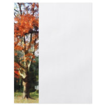 Autumn Sycamore Tree