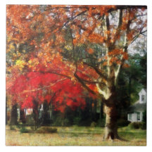 Autumn Sycamore Tree Tiles