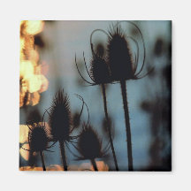 Autumn Thistle Magnet