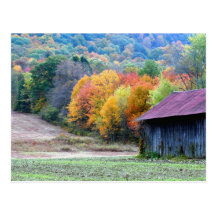 Autumn Tobacco Barn Nature Photography Postcard