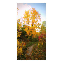 Autumn Trail Photo Card