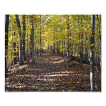 AUTUMN TRAIL. PHOTO