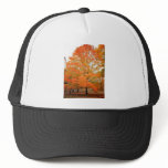 Autumn Tree in Central Park, New York City